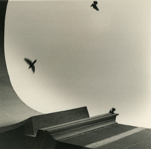 Photographie d'art Oiseaux Inde