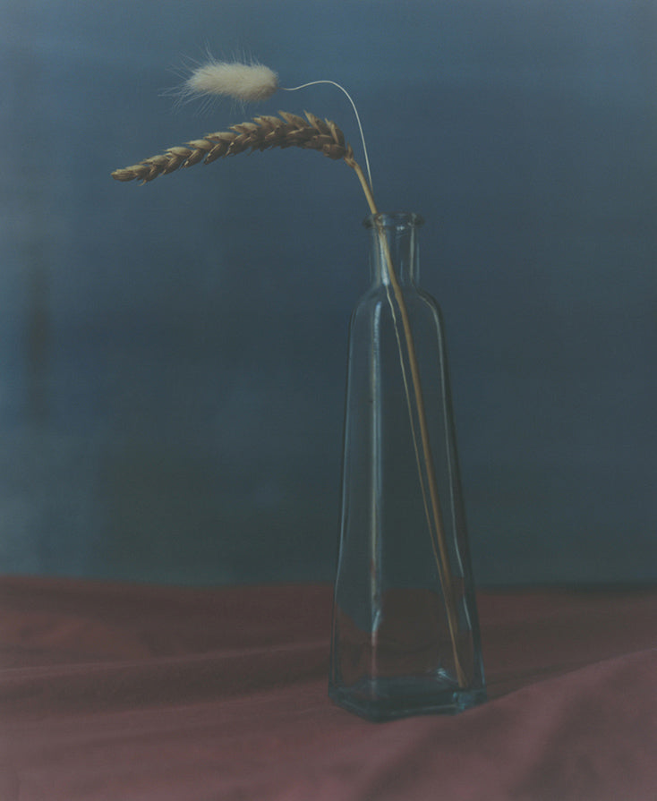 Nature morte blé vincent delsupexhe art