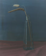 Charger l'image dans la galerie, Nature morte blé vincent delsupexhe art
