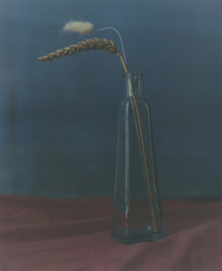 Nature morte blé vincent delsupexhe art