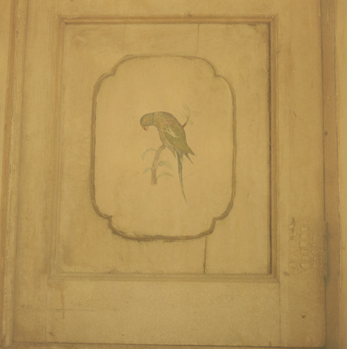 Perroquet photo d'art animal Inde