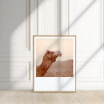 Load image into Gallery viewer, impression fine art Camel polaroid decoration room
