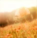 Load image into Gallery viewer, Polaroid print - The golden poppy
