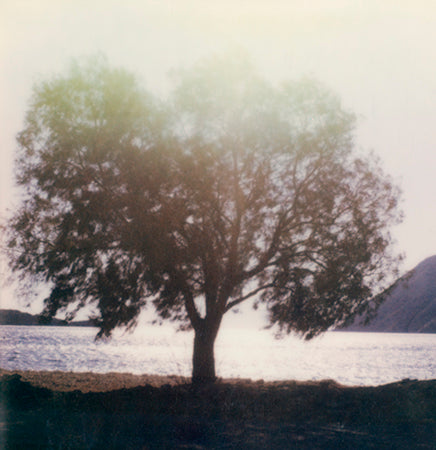 Patmos tree of life polaroid decoration 