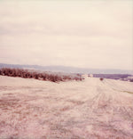 Load image into Gallery viewer, Tuscany countryside Polaroid 
