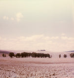 Load image into Gallery viewer, Tuscany countryside  Italy Orcia valley Polaroid photo
