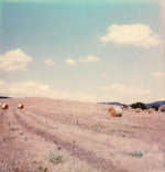 Load image into Gallery viewer, Tuscany Italy Bale of straw polaroid photo deco
