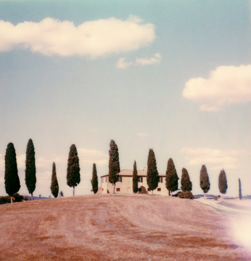 Polaroid-Tuscany deco-Italy-art-print-cypress-poster
