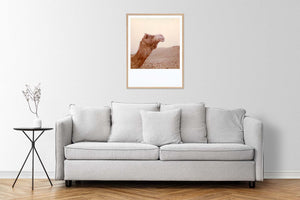 polaroid room decoration art photography