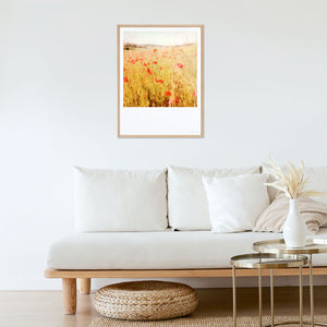 coquelicots polaroid room