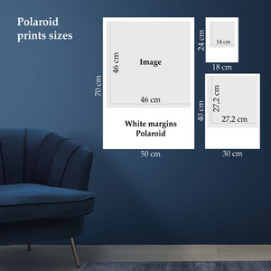 Polaroid print - The two pointes