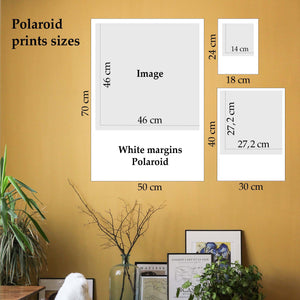 Polaroid print - Sunflower field