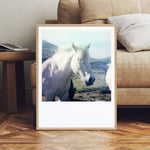 Load image into Gallery viewer, Polaroid photo impression fine art horse photo impression fine art decoration
