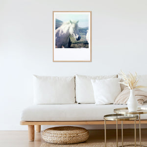 Polaroid photo impression fine art horse photo impression fine art decoration