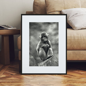 monkey art photography
