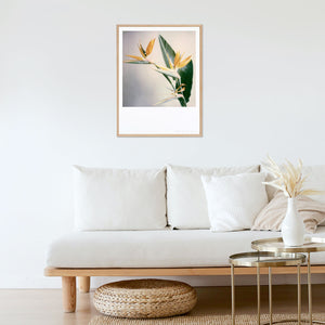 decoration-frame-polaroid-photo-inspiration-living-room-flower