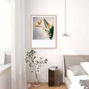 decoration-frame-polaroid-photo-inspiration-living-room-flower