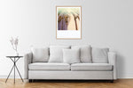 Load image into Gallery viewer, polaroid room decoration art photography
